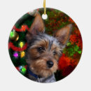Buscar perro del yorkie adornos Terrier de yorkshire