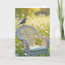 Buscar bluebird tarjetas Pájaro