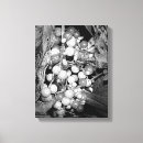 Buscar bayas decoracion Blanco