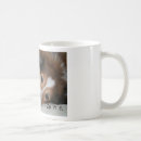Buscar sheltie tazas Perrito