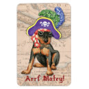 Buscar perno imanes Pinscher miniatura