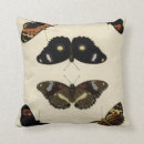 Buscar insecto cojines Mariposas