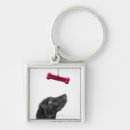 Buscar tristeza llaveros Tiro del estudio