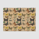 Buscar insectos papel de seda Desacoplamiento