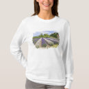 Buscar lavanda de la camisetas Púrpura