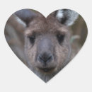 Buscar kangaroo pegatinas Australia