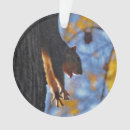 Buscar ardilla divertida adornos Animales