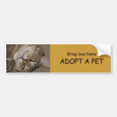 Buscar adopte pegatinas parachoque Gatos
