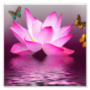 Buscar asia fotografía Flor