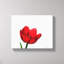 Buscar tulipanes lienzos Tulipán