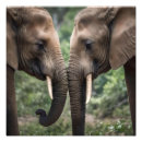 Buscar familia elefante posters Amar