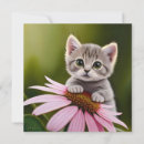 Buscar gato gris invitaciones Gatito