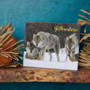Buscar yellowstone fotografía Naturaleza