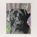 Buscar labrador negro puzzles Amante del perro