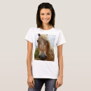 Buscar appaloosa camisetas Caballo