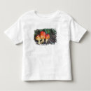 Buscar amanita camisetas Bosque