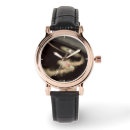 Buscar estrella variable Pds 70
