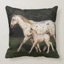 Buscar potro cojines Appaloosa