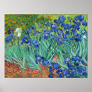 Buscar flores de van gogh posters Iris