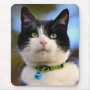 Buscar pelo negro alfombrillas de raton Animal