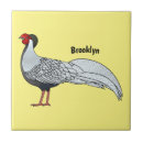 Buscar faisán azulejos Pájaro