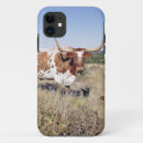 Buscar apple inc Siglo