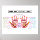 Buscar quiropráctica posters Salud