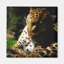 Buscar leopardo imanes Gran gato