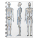 Buscar esqueleto humano cuadernos Ilustracion
