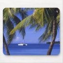 Buscar negril electronica Palmera