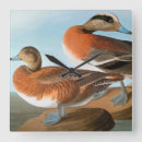 Buscar audubon relojes de pared Pato