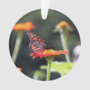 Buscar mariposa monarca adornos Navidades