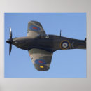 Buscar warbirds posters Fuerza aérea