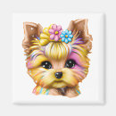 Buscar yorkie imanes Cachorros