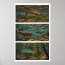Buscar arroyos posters Naturaleza