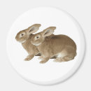 Buscar de gran tamaño imanes Vida silvestre