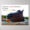 Buscar placer posters Caballo