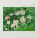 Buscar naturaleza muerta postales Rosas