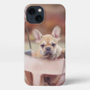 Buscar animals iphone fundas Cute