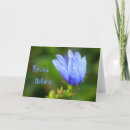 Buscar ostara tarjetas Naturaleza
