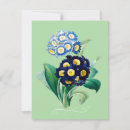Buscar vago tarjetas Vintage