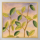 Buscar fondo marrón posters Hojas