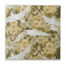 Buscar palomas azulejos Blanco