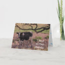 Buscar bovino tarjetas Vaca sagrada