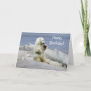Buscar polar tarjetas Animales árticos