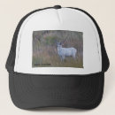 Buscar ciervos gorras Blanco
