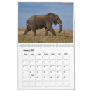 Buscar safari africano calendarios Naturaleza
