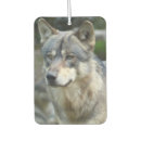 Buscar naturaleza coche accesorios Nombre