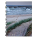 Buscar berrien Faro