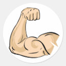 Buscar brazo pegatinas 1 º gimnasia